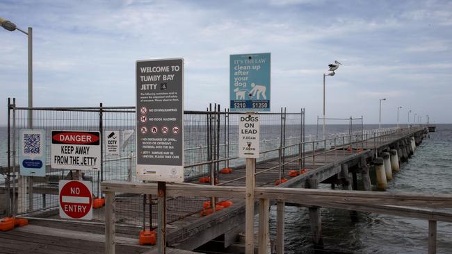 At Tumby Bay jetty, only a pelican can access the structure as it has been closed for two years over safety concerns. Picture Dean Martin