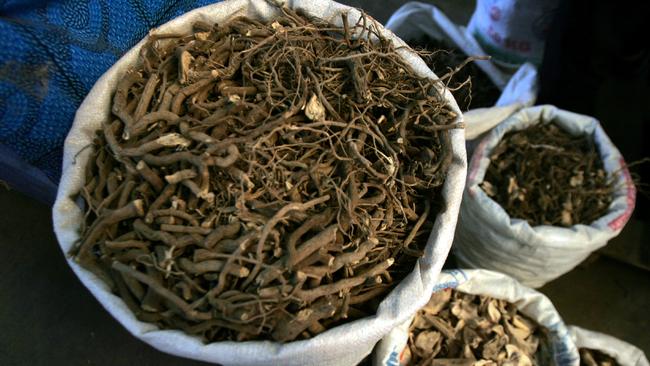 Kava Root at a Kava Market in Fiji.