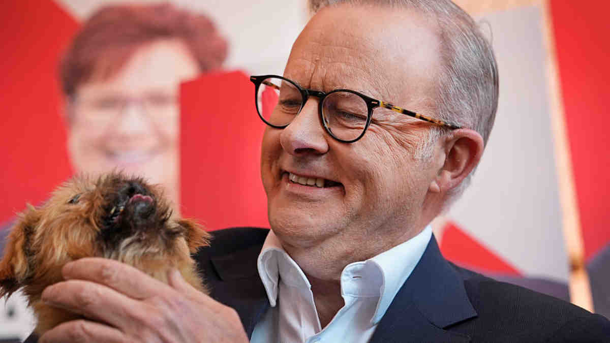 Labor has won, which sectors will benefit? Pic: Getty Images