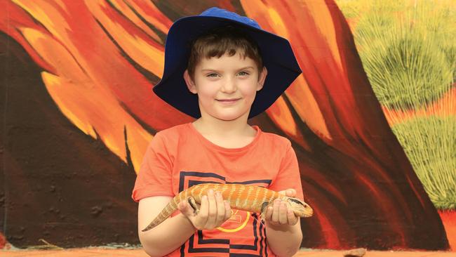 Little ones will love the twice-daily Red Desert Reptiles show, where they can get up close and personal with blue-tongue lizards, bearded dragons and friendly pythons.