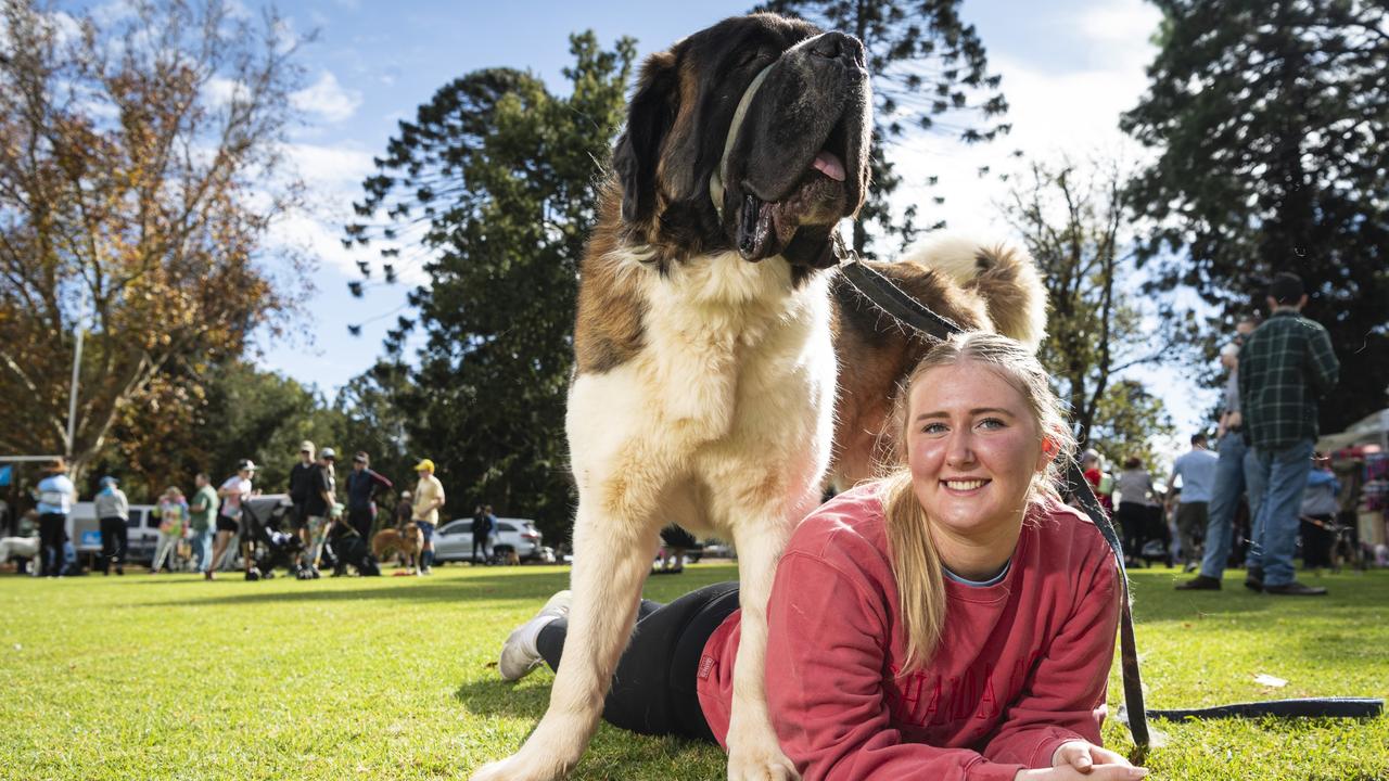 Lilly Corkill with Nelson her St Bernard before Toowoomba's Million Paws Walk at Queens Park, Sunday, May 26, 2024. Picture: Kevin Farmer