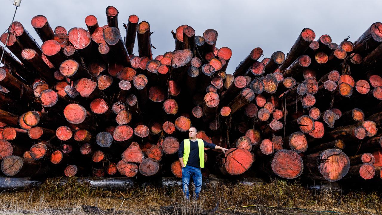 Dan Pote, CEO and part-owner of Powelltown Sawmill in Victoria, faces a challenging future as the state government accelerates the end of native timber logging by five years. Picture: Aaron Francis/The Australian