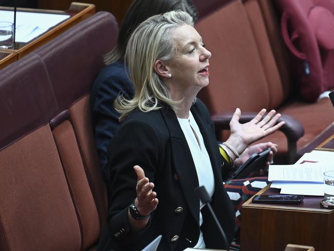 Senator Bridget McKenzie. Picture: NewsWire / Martin Ollman