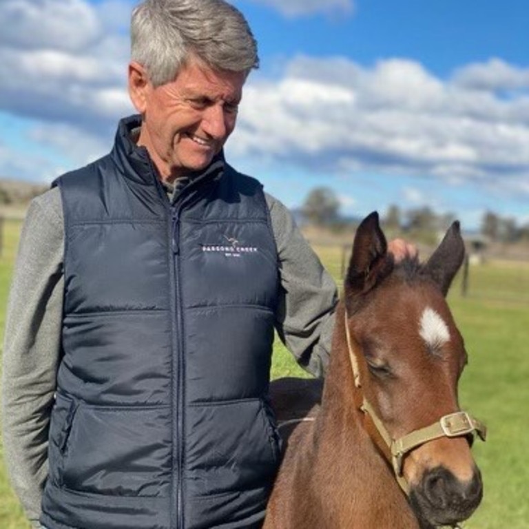 Marc De Stoop bred and part owns Everest placegetter Mazu.