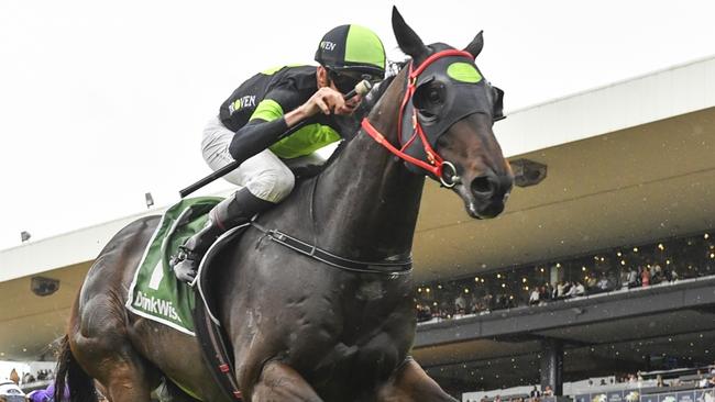 Private Eye wins the Festival Stakes at Rosehill Gardens on November 30, 2024. Picture: Bradley Photos
