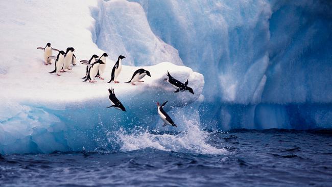 Last year, I finally ticked off Antarctica, which was incredible. Picture: iStock.