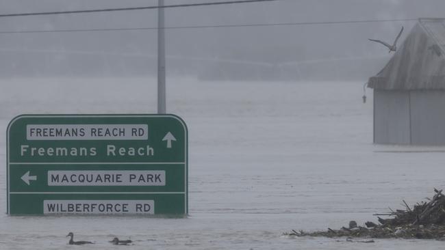 Road signs are seen submerged under floodwater along the Hawkesbury River near the Windsor Bridge. Picture: Jenny Evans.