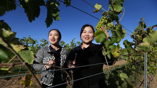 Chinese tourists Jill You and Qi Zhang at Sirromet Winery. Picture: AAP Image/David Clark