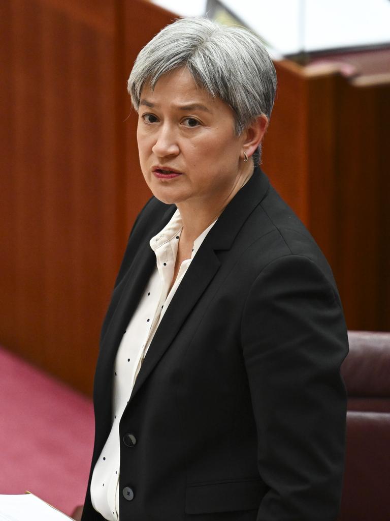 Senator Penny Wong. Picture: NewsWire / Martin Ollman