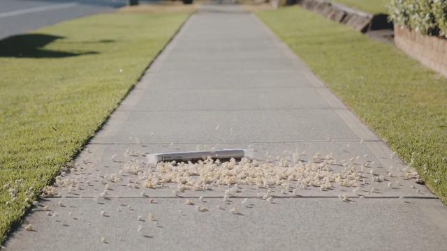 Why your paper smells like popcorn