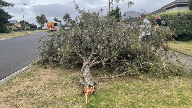 The driver also crashed into a tree after he left the road. Picture: Jack Colantuono