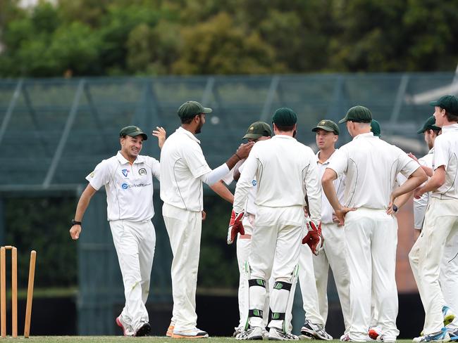 Box Hill players celebrate an early wicket for Parth Mehta.