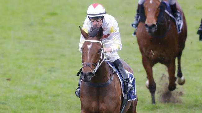 Frumos has untapped potential and can continue her winning ways at Rosehill on Saturday. Picture: Getty Images