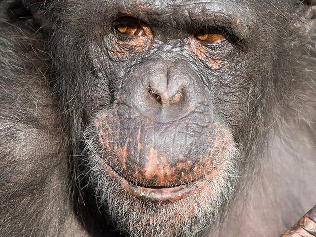 Tragedy at South Australian zoo