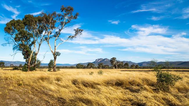 Victoria’s grassland landscape in the Grampians mountains