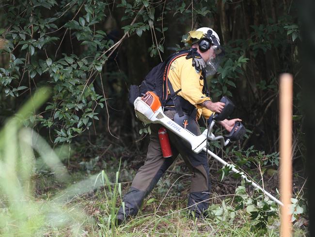 Whipper snippers are being used to clear the thick scrub. Picture: Peter Lorimer.