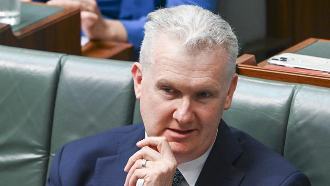 Home Affairs Minister Tony Burke hit back at Senator Paterson’s claims. Picture: NewsWire / Martin Ollman