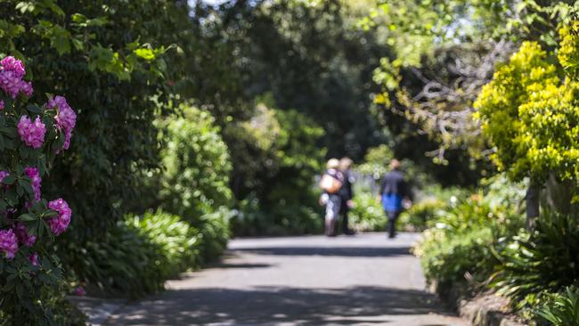 The beautiful gardens at Footscray Park.