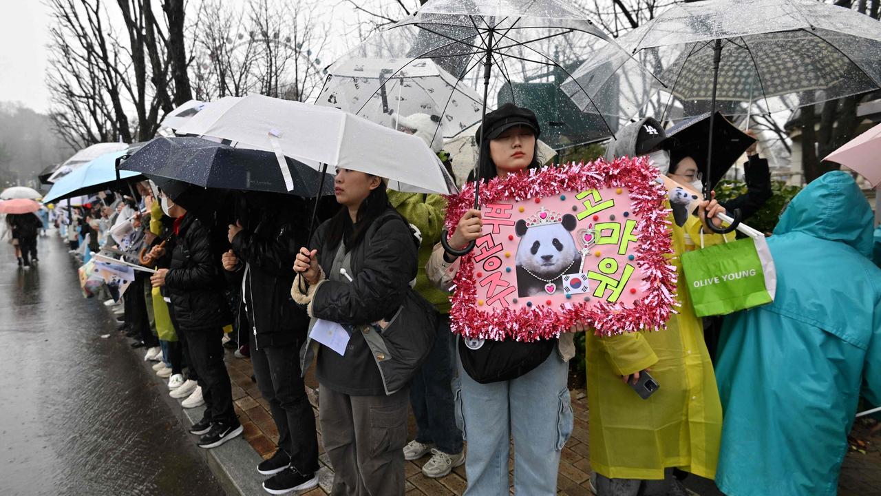 Panda fans wait for giant panda Fu Bao during a farewell ceremony at Everland Zoo. Picture: Jung Yeon-je/AFP