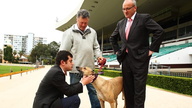 Luke Foley NSW Opposition Leader with Greyhound Action Group president Tony Gannon President and  shadow western Sydney spokesman Sam Dastyari at Wentworth Park Racecourse. Photo: Brett Costello