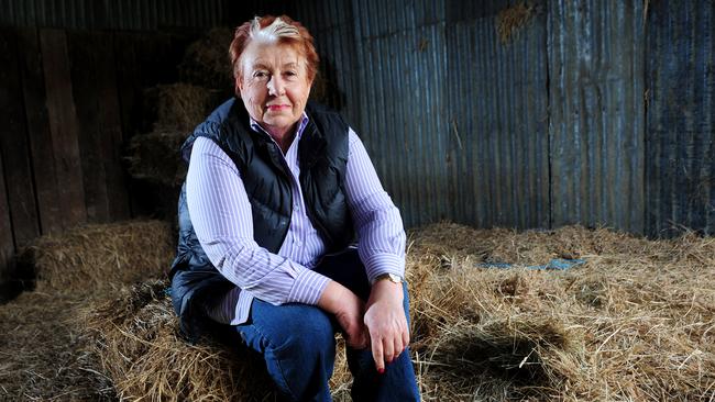 Frances Nelson QC is taking Oakbank Racing Club to court seeking to force them to open their books. Picture: Mark Brake