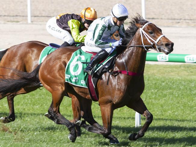 The Phillip Stokes-trained Octane (Kaya Crowther) wins impressively at Morphettville. Picture: Atkins Photography