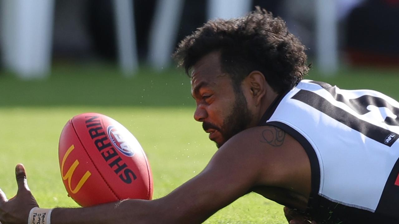 ‘Willie’s made a mistake’: Bevo speaks on Rioli saga