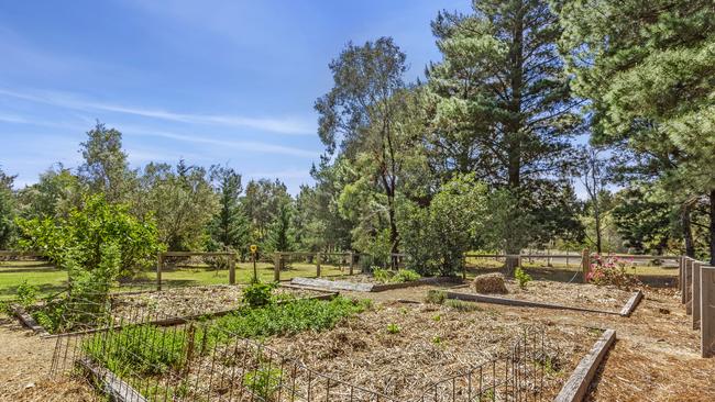 The family has planted thousands of trees at the property, which was bare when it bought it.