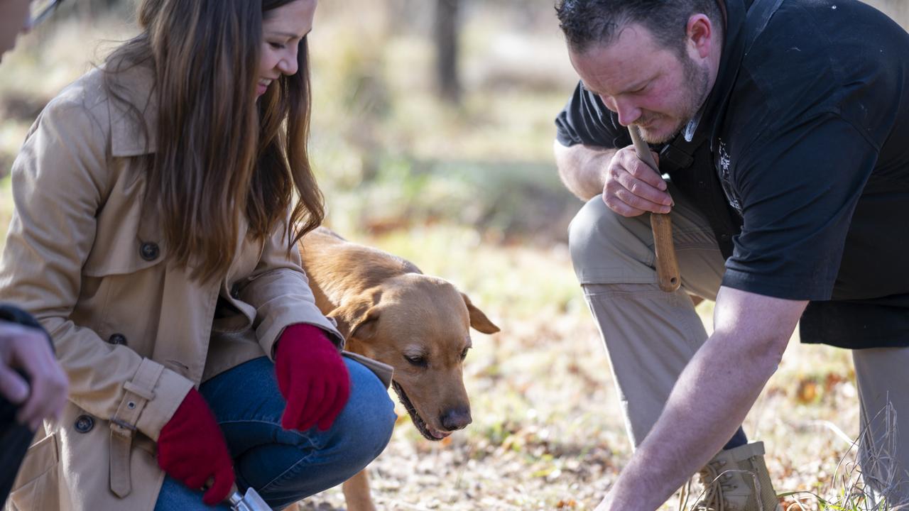 Prepare to get your hands dirty during the hunt.