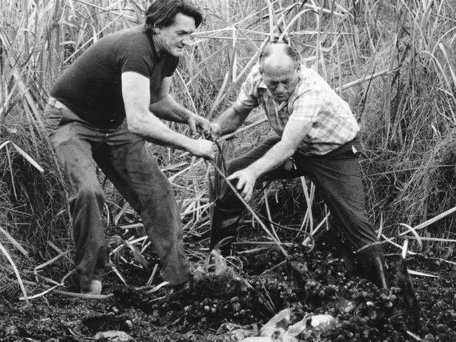 Sharron Phillip's father Bob Phillips, left, searching a water hole off the Ipswich highway on Army land with Bernie Goulding.