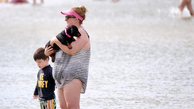 Findings also revealed how pets can reinforce other good mental health habits, including encouraging us to step away from screens and spend more time outdoors. Picture: NewsWire / Luis Enrique Ascui