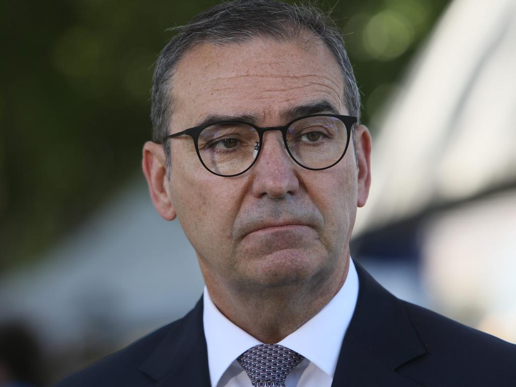 South Australian Premier Steven Marshall delivered the grim news on Friday. Picture: Emma Brasier