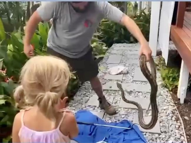 Dad’s heroic act as python attacks puppy