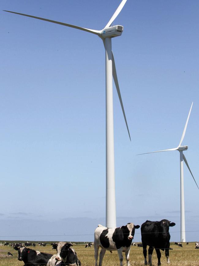 The Woolnorth wind farm.