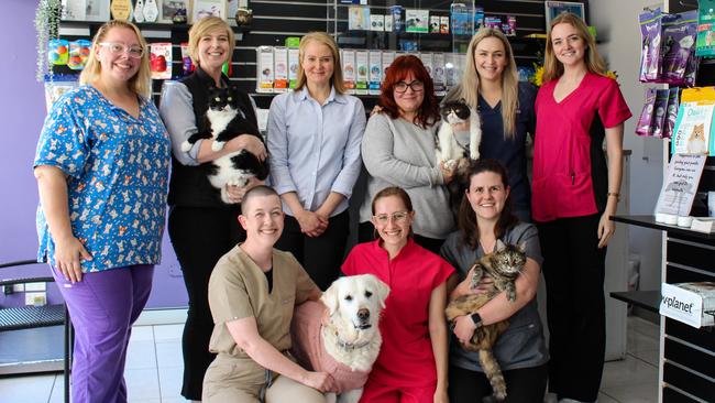 Winners of Brisbane's best vet 2023, Toowong Family Vet. Picture: Supplied