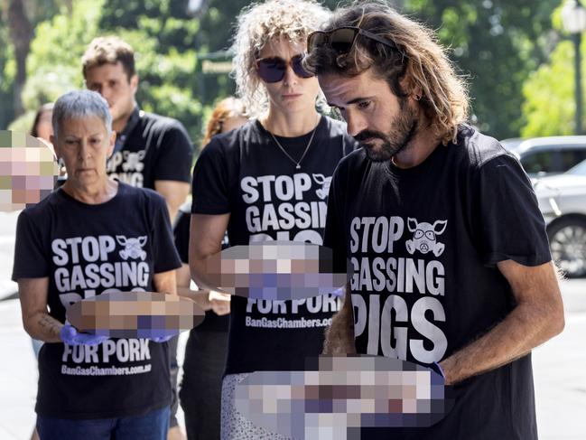 ***BLURRED VERSION***MELBOURNE, AUSTRALIA - NewsWire Photos - January 21, 2025: Animal activists have placed dead piglets outside the Victorian State Government offices at treasury place.  Picture: NewsWire / David Geraghty ,