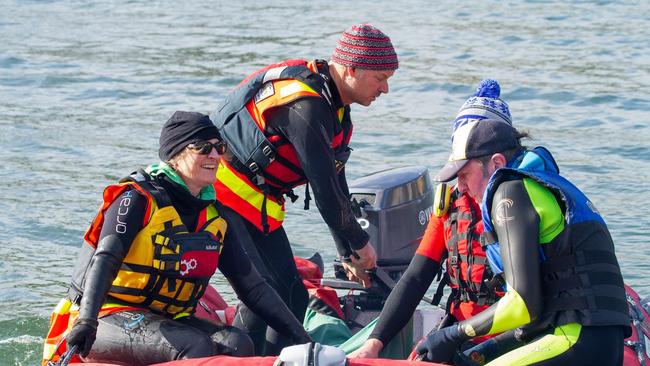 Scientists motored out a couple of hundred metres to clear water before releasing the dolphin.