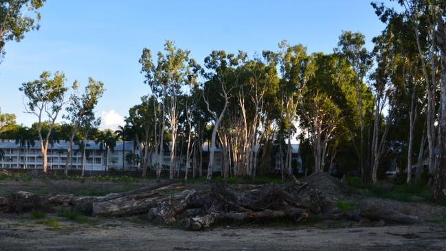 Tree clearing to make way for development at 33-41 Cedar Rd, Palm Cove. Picture: Bronwyn Farr