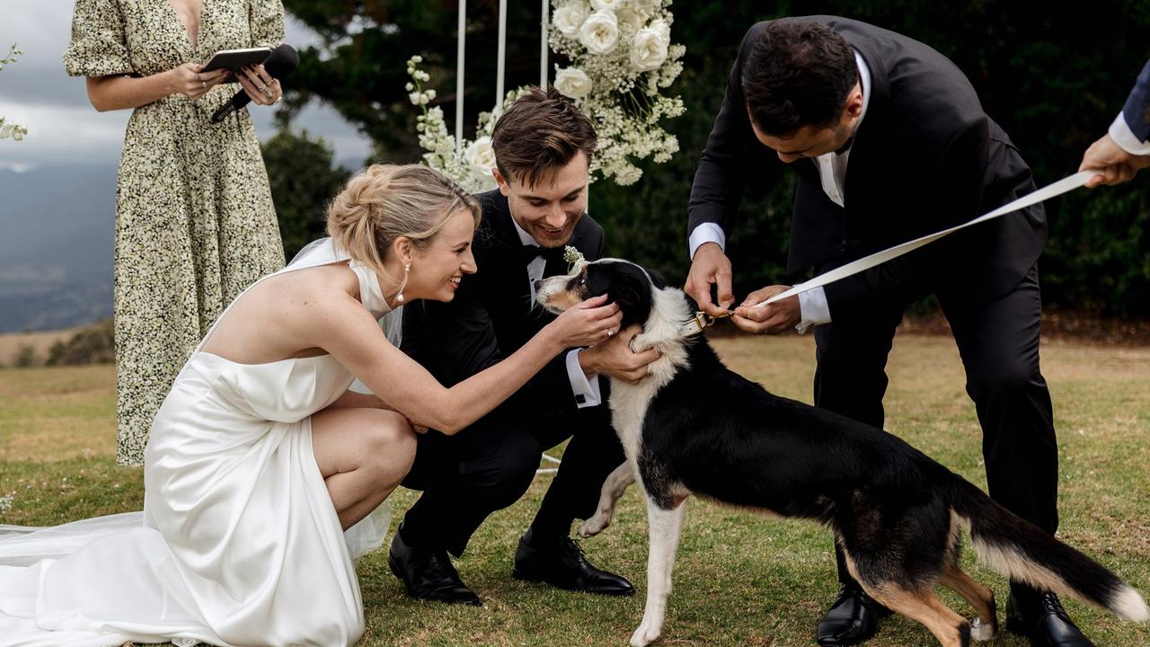 ‘A non-negotiable for us’: Bride and groom pick very unique ring bearer ...