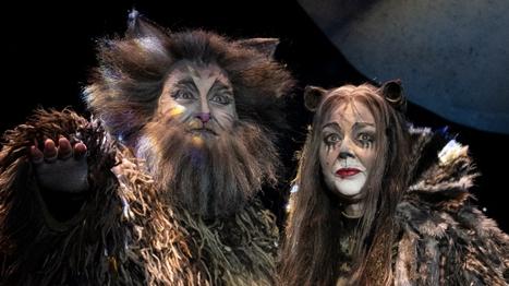 Cats musical sydney