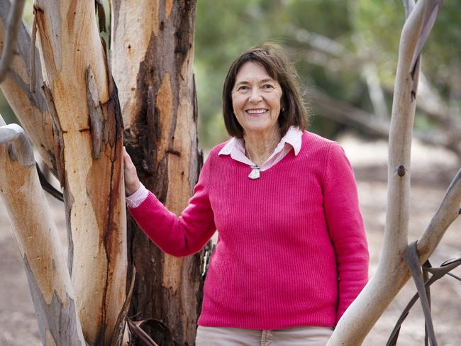 COUNTRY LIVING: WAMAGlenda Lewin, co-creator of the proposed Wildlife Art Museum of Australia, WAMA near Halls Gap. A $3.8 million art gallery, multi-purpose function room, and caf  with outdoor area will be built in the next two years on a 5.5ha area of the property.PICTURED: Glenda Lewin, co-creator of the proposed Wildlife Art Museum of AustraliaPHOTOGRAPHER: ZOE PHILLIPS