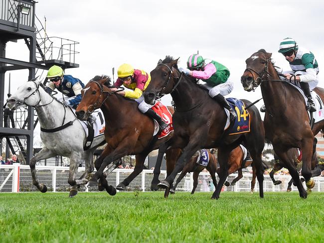 Positivity (NZ) ridden by Harry Coffey wins the Catanach's Jewellers MRC Foundation Cup at Caulfield Racecourse on September 21, 2024 in Caulfield, Australia. (Photo by Reg Ryan/Racing Photos via Getty Images)