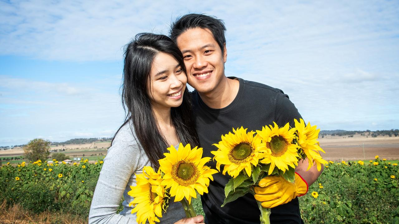 Mel Tang and Leo Tang enjoy the open day at Warraba Sunflowers, Cambooya. Saturday June 29th, 2024