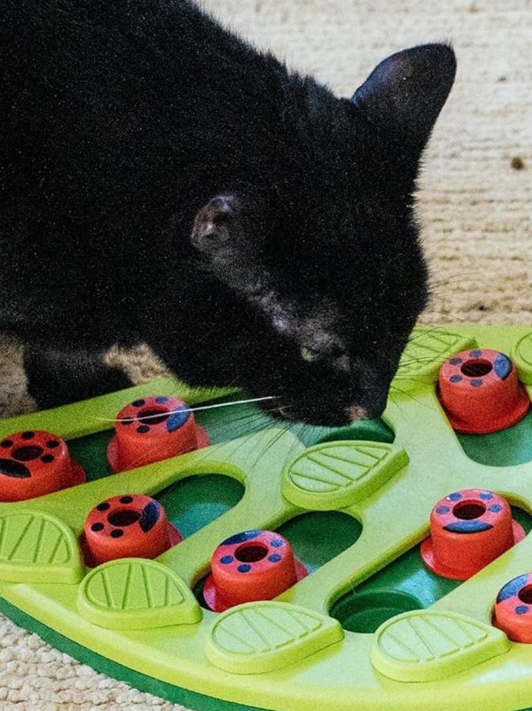 Buggin' Out Cat Puzzle. Picture: Amazon Australia.