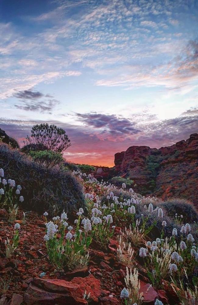 A photo of Kings Canyon Rim Walk, Northern Territory, by @juniorhill92 made for the fourth most popular post re-shared by Tourism NT’s @NTAustralia in 2022. Picture: @juniorhill92