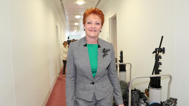 Senator Pauline Hanson at Parliament House in Canberra. Picture: Kym Smith