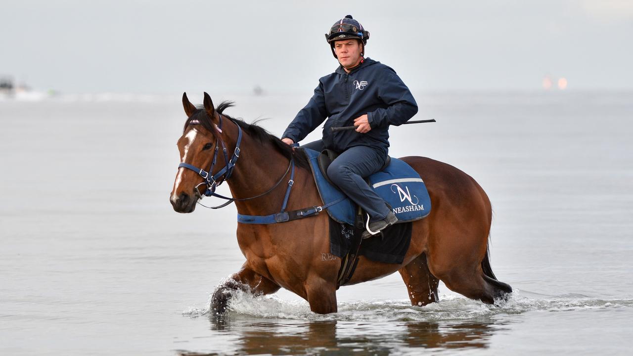 Zaaki has a Sunday morning recovery session at Altona Beach afer winning the Underwood Stakes. Picture: Vince Caligiuri–Getty Images