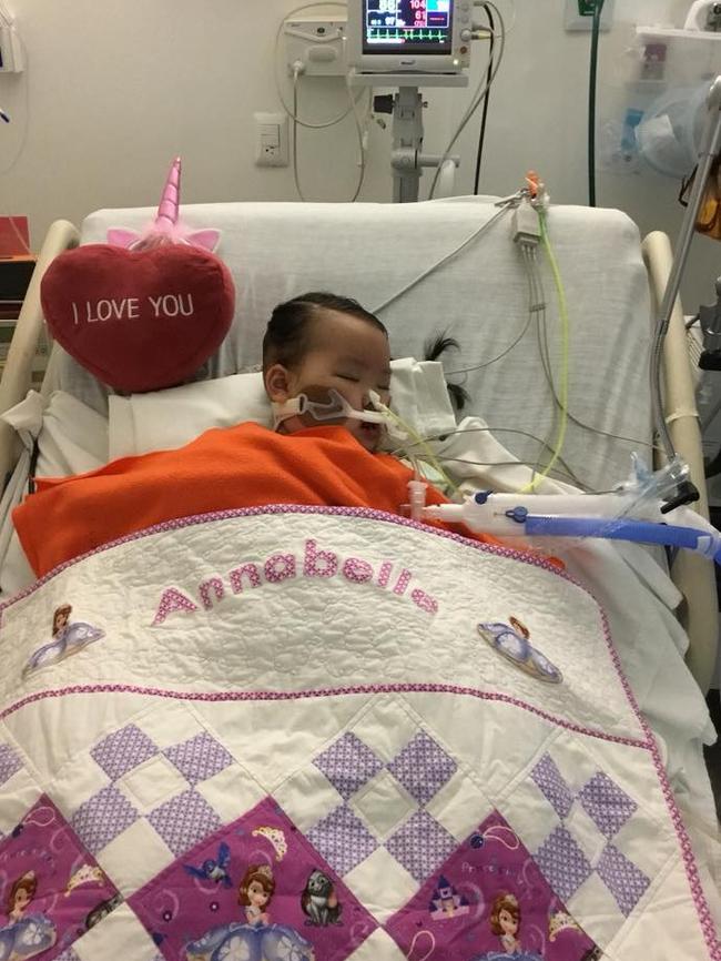 Annabelle has been in a coma and on life support in Mexico since May 3. Picture: Supplied