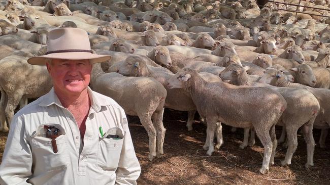 Greg Rogers from Yamba at Booligal, NSW, was selling Merinos at the Hay Meriono sheep sale.