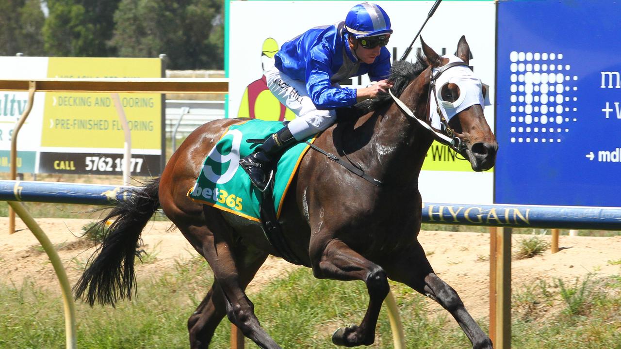 Alloway ridden by Jack Hill wins the bet365 Maiden Plate at Benalla Racecourse on December 19, 2020 in Benalla, Australia. (David Thorpe/Racing Photos)